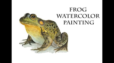 how to Watercolor Frog Painting for beginners - Yeni Başlayanlara Kolay Suluboya Kurbağa Resmi ...