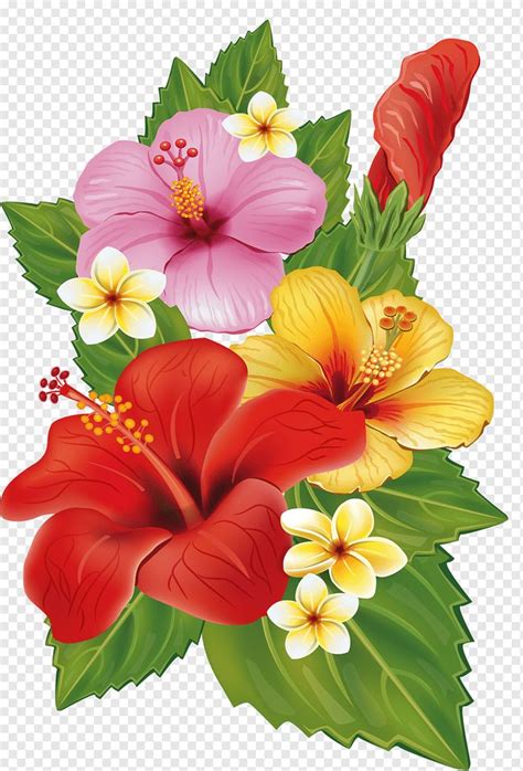 hibiscus flowers illustration, Flower bouquet Decorative arts, tropical flower, herbaceous Plant ...