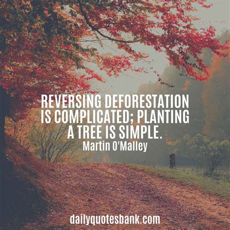 Plantation03: Tree Plantation Quotes / Quotes On Tree Plantation. QuotesGram : 'i'm planting a ...