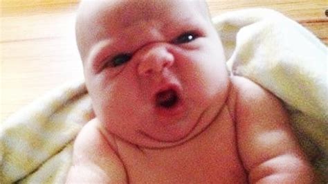 TOP Funniest ANGRY Babies In The Whole World || Funny Baby And Pet ...