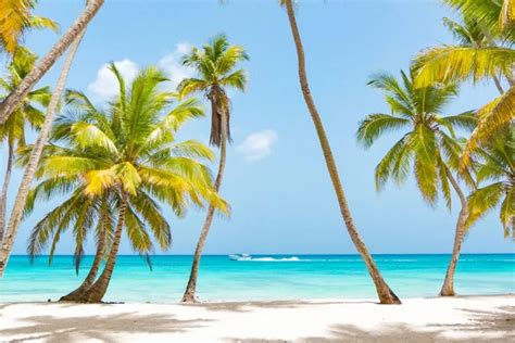 8 Best Punta Cana Beaches in December 2024 | Island Life Caribbean