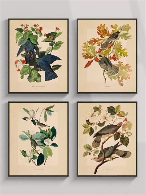 Birds of America Illustrations, Set of 4 Audubon Birds of America ...