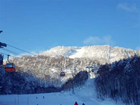 Where to Ski in Sapporo? Travel Guide 2021 | Kyuhoshi