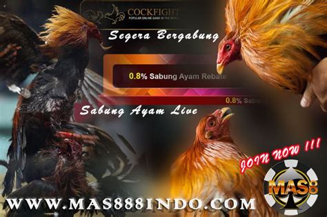 sabung ayam online | Movie posters, Poster, Movies