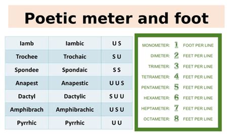 SHAKESPEARE METER AND FOOT | Teaching Resources