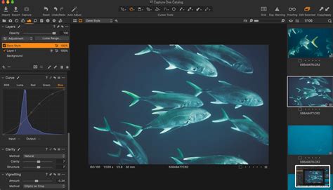 Why nature photographers need photo editing - Capture One