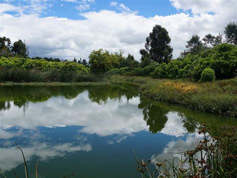 Fotos: Los 15 humedales de Bogotá - Galería de Fotos - ELTIEMPO.COM