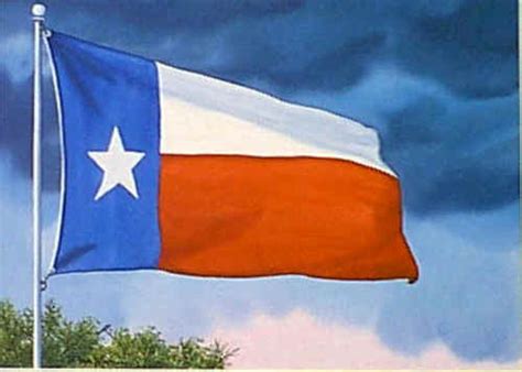 Texas images Texas Flag Painting HD wallpaper and background photos ...