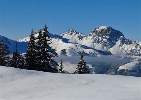 Luxury Ski Chalet Holidays in Gstaad - The Chalet Edit