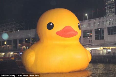 Giant rubber duck: 50ft rubber inflatable is puffed up once more at ...