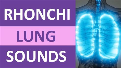 Rhonchi Lung Sounds Nursing NCLEX Review | Adventitious Lung Sounds - YouTube