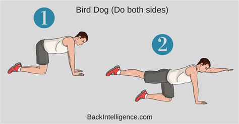 6 Exercises to strengthen lower back and core muscles