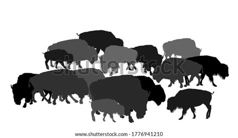 Buffalo Herd Silhouette: Over 306 Royalty-Free Licensable Stock ...