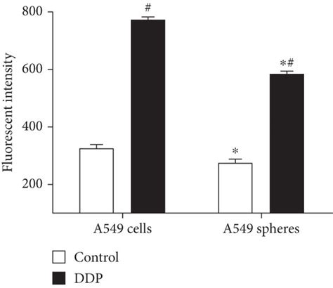 A549 cells and A549 cell spheres were treated with normal saline and ...