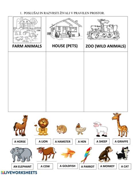 Animals - pet, farm, ZOO worksheet | Live Worksheets - Worksheets Library