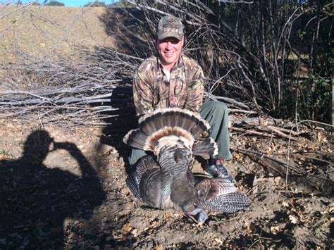 California Turkey Hunts