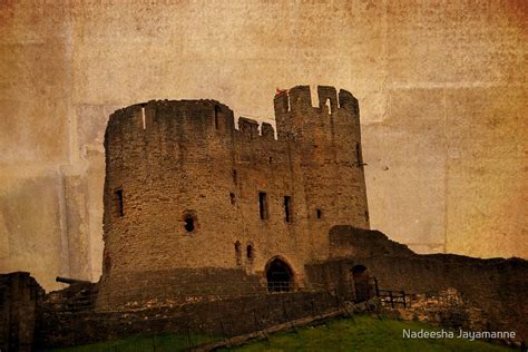 "Dudley castle, Dudley, UK" by Nadeesha Jayamanne | Redbubble