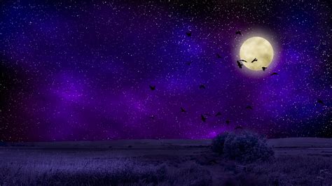 wallpaper full moon, starry sky, birds, night, photoshop HD : Widescreen : High Definition ...