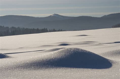 Siberia. Winter. - PentaxForums.com