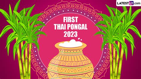 Thai Pongal 2023 Images & Happy Pongal HD Wallpapers for Free Download ...