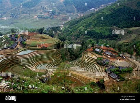 Sapa Rice Terraces Stock Photo - Alamy