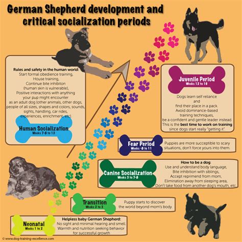 German shepherd puppy training guide – Artofit