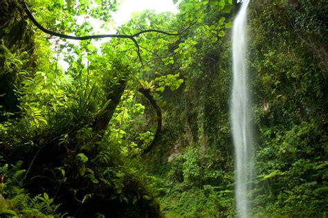 Waterfalls – Pohnpei Eco-Adventure Guide