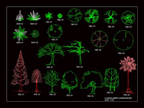 Trees Elevation Trees Blocks 2D DWG Elevation for AutoCAD • Designs CAD