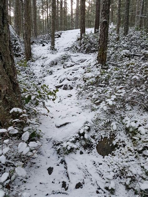 Winter hiking the Sooke Hills. FM radio trail to Mt. Quimper. Vancouver ...