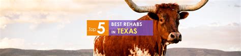 Top Rehabs in Texas: Finding Treatment in TX