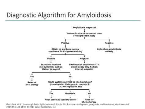 Light Chain Amyloidosis