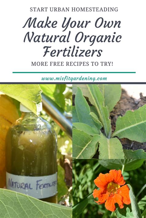 More Organic Liquid Fertilizer Recipes - Misfit Gardening