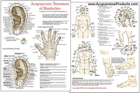 328 best images about Acupressure/Acupuncture Points on Pinterest ...