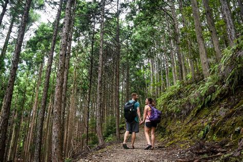 Kumano Kodo Trail: The Pilgrimage Route Japan | Two Wandering Soles