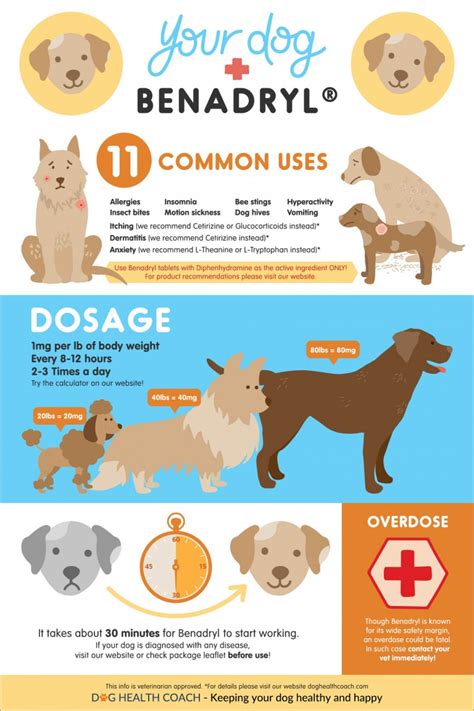 Benadryl For Dogs: Uses, Side Effects, Dosage, Overdose Vet approved!