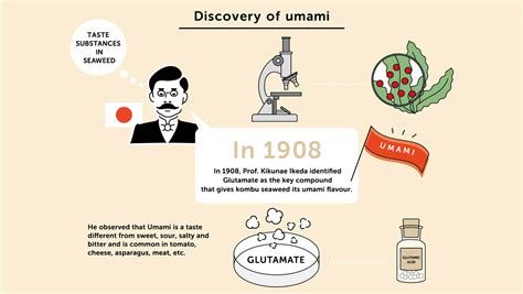 What Is Umami Taste