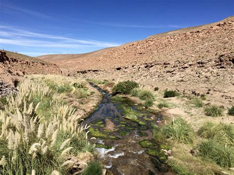 8 highlights of the Atacama Desert — Someday Sherpa