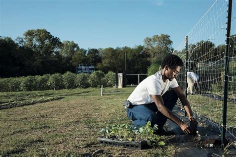 The Current State of Agricultural Education - Modern Farmer