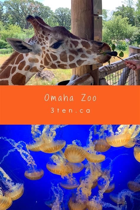 Travel: Omaha Zoo — 3ten — a lifestyle blog