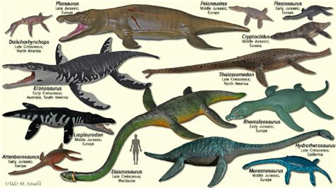 Prehistoric water animals size comparison | Prehistoric animals, Prehistoric creatures, Prehistoric