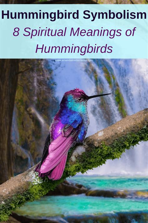 Hummingbird Symbolism: 8 Spiritual Meanings of Hummingbirds — Amanda ...