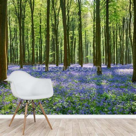 Bluebell Forest Wallpaper | Wallsauce UK