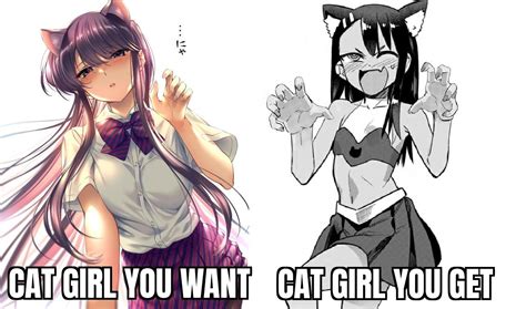 Aggregate more than 75 anime cat girl meme - in.coedo.com.vn