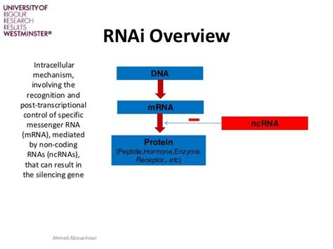 RNAi Therapy