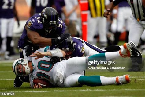 Chad Pennington Dolphins Photos and Premium High Res Pictures - Getty ...