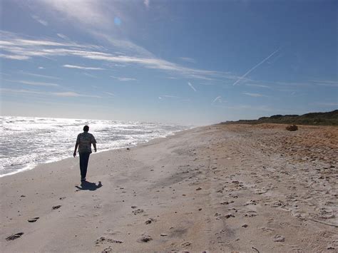 A Walk Along The Beach Photograph by Celeste Nagy