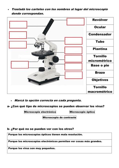 Ejercicio De Funciones De Las Partes Del Microscopio | Porn Sex Picture