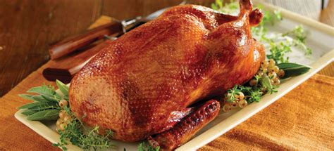 Roasted Whole Duck - Basic Recipe for Crispy Skin | Maple Leaf Farms