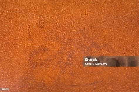 Pigskin Leather Texture Stock Photo - Download Image Now - Abstract ...