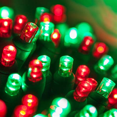 Wintergreen Lighting 70 5mm LED Christmas Lights & Reviews | Wayfair